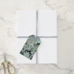 Paperwhite Narcissus Delicate White Flowers Gift Tags