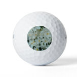 Paperwhite Narcissus Delicate White Flowers Golf Balls