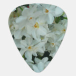 Paperwhite Narcissus Delicate White Flowers Guitar Pick