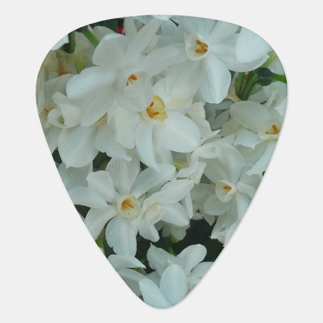 Paperwhite Narcissus Delicate White Flowers Guitar Pick (Front)