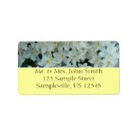 Paperwhite Narcissus Delicate White Flowers Label
