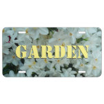Paperwhite Narcissus Delicate White Flowers License Plate