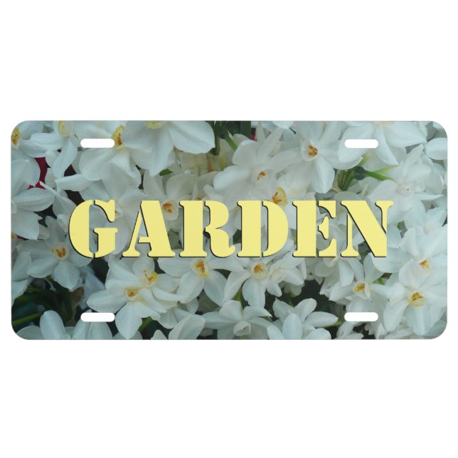 Paperwhite Narcissus Delicate White Flowers License Plate (Front)