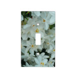 Paperwhite Narcissus Delicate White Flowers Light Switch Cover