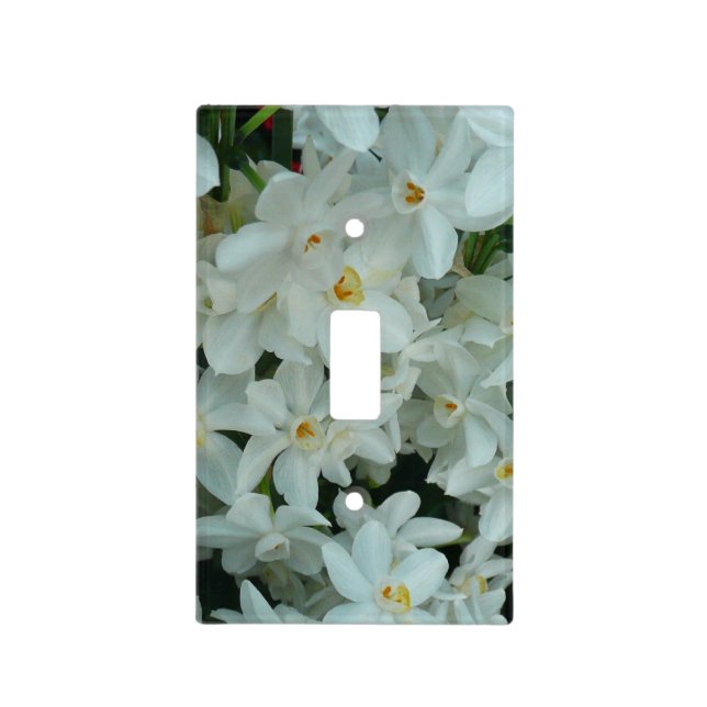 Paperwhite Narcissus Delicate White Flowers Light Switch Cover (Front)
