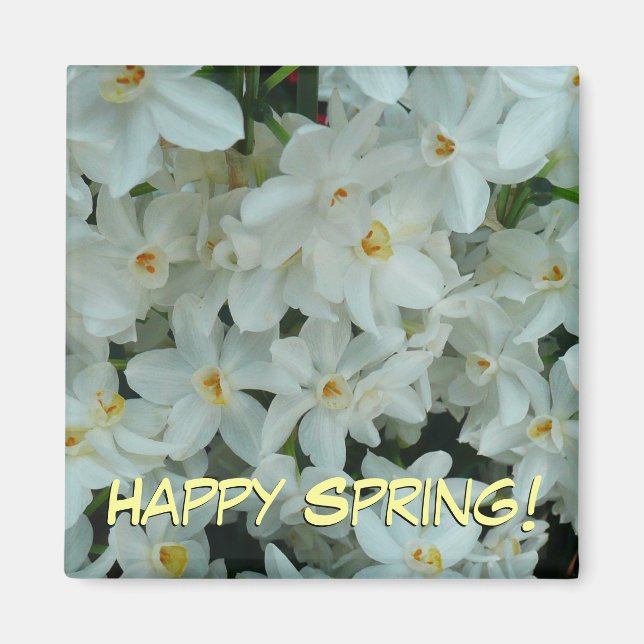 Paperwhite Narcissus Delicate White Flowers Magnet (Front)