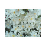 Paperwhite Narcissus Delicate White Flowers Metal Print