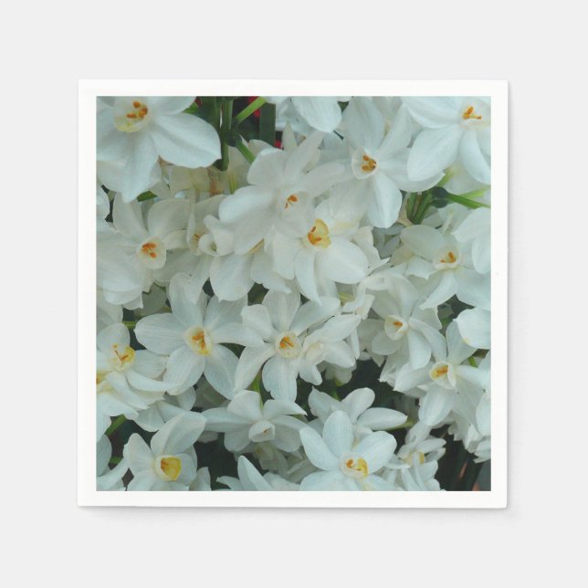 Paperwhite Narcissus Delicate White Flowers Napkins (Front)