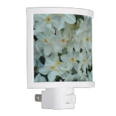 Paperwhite Narcissus Delicate White Flowers Night Light (Right)