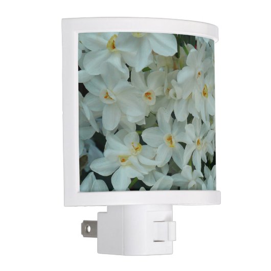 Paperwhite Narcissus Delicate White Flowers Night Light (Right)