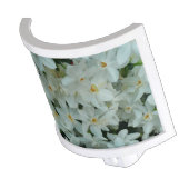 Paperwhite Narcissus Delicate White Flowers Night Light (Angled)