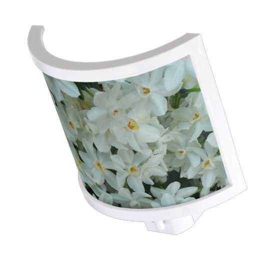 Paperwhite Narcissus Delicate White Flowers Night Light (Angled)