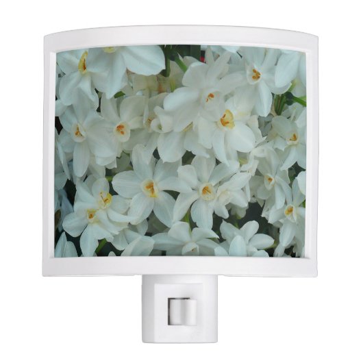 Paperwhite Narcissus Delicate White Flowers Night Light (Front)