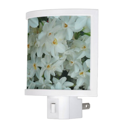 Paperwhite Narcissus Delicate White Flowers Night Light (Left)