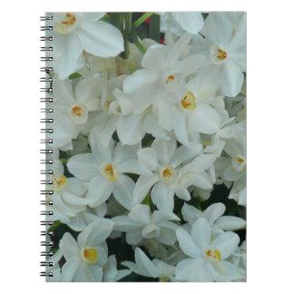 Paperwhite Narcissus Delicate White Flowers Notebook