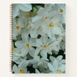 Paperwhite Narcissus Delicate White Flowers Notebook