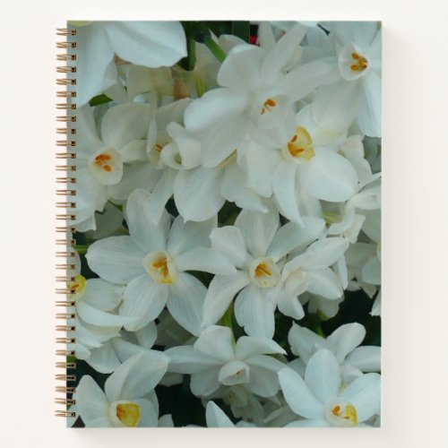 Paperwhite Narcissus Delicate White Flowers Notebook