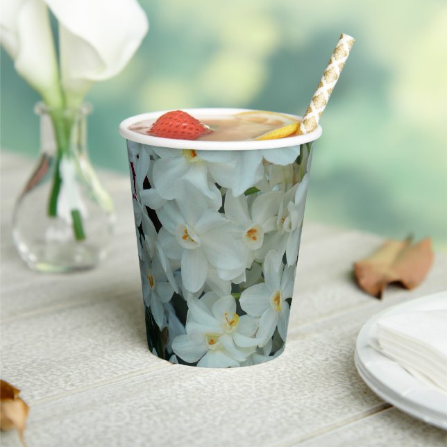 Paperwhite Narcissus Delicate White Flowers Paper Cups (Insitu)