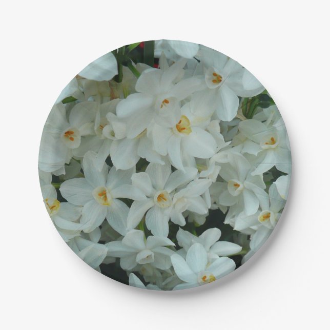 Paperwhite Narcissus Delicate White Flowers Paper Plates (Front)