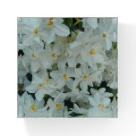 Paperwhite Narcissus Delicate White Flowers Paperweight