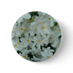 Paperwhite Narcissus Delicate White Flowers Pinback Button