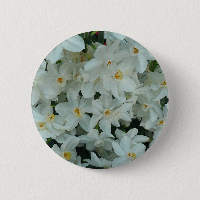 Paperwhite Narcissus Delicate White Flowers Pinback Button (Front)