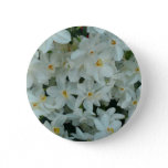 Paperwhite Narcissus Delicate White Flowers Pinback Button