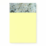 Paperwhite Narcissus Delicate White Flowers Post-it Notes
