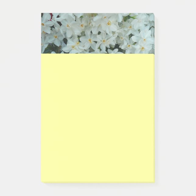 Paperwhite Narcissus Delicate White Flowers Post-it Notes (Front)