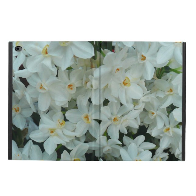 Paperwhite Narcissus Delicate White Flowers Powis iPad Air 2 Case (Outside)