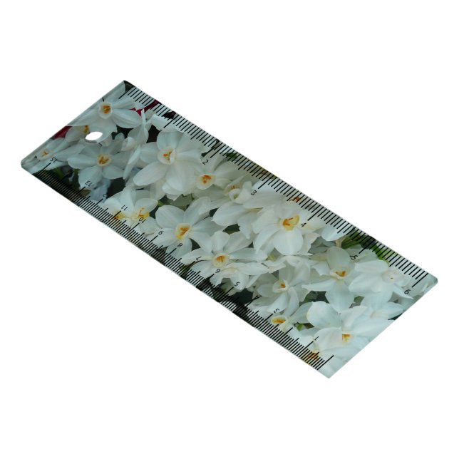 Paperwhite Narcissus Delicate White Flowers Ruler (Angled)