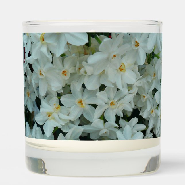 Paperwhite Narcissus Delicate White Flowers Scented Candle (Front)