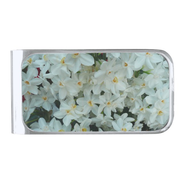 Paperwhite Narcissus Delicate White Flowers Silver Finish Money Clip (Front)