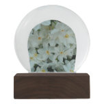 Paperwhite Narcissus Delicate White Flowers Snow Globe