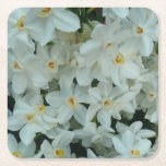 Paperwhite Narcissus Delicate White Flowers Square Paper Coaster