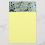 Paperwhite Narcissus Delicate White Flowers Stationery
