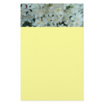 Paperwhite Narcissus Delicate White Flowers Stationery