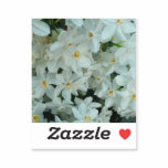 Paperwhite Narcissus Delicate White Flowers Sticker