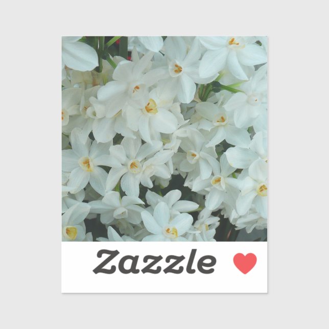 Paperwhite Narcissus Delicate White Flowers Sticker (Sheet)