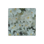 Paperwhite Narcissus Delicate White Flowers Stone Magnet