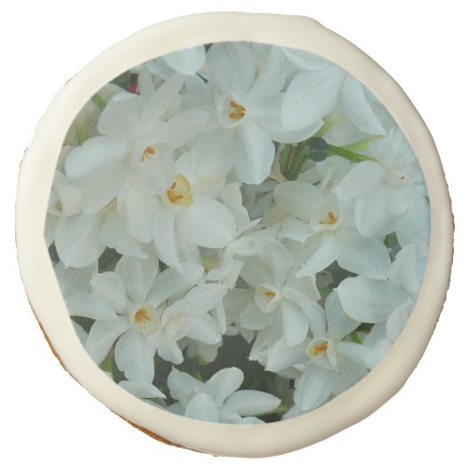 Paperwhite Narcissus Delicate White Flowers Sugar Cookie (Front)