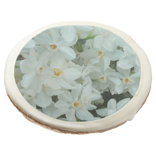 Paperwhite Narcissus Delicate White Flowers Sugar Cookie (Angled)