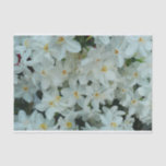 Paperwhite Narcissus Delicate White Flowers Tissue Paper