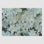 Paperwhite Narcissus Delicate White Flowers Tissue Paper