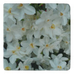 Paperwhite Narcissus Delicate White Flowers Trivet