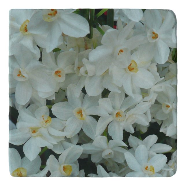 Paperwhite Narcissus Delicate White Flowers Trivet (Front)