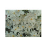Paperwhite Narcissus Delicate White Flowers Wood Poster