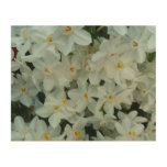 Paperwhite Narcissus Delicate White Flowers Wood Wall Art