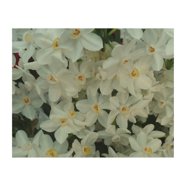 Paperwhite Narcissus Delicate White Flowers Wood Wall Art (Front)