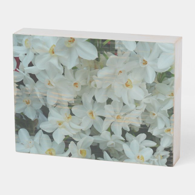 Paperwhite Narcissus Delicate White Flowers Wooden Box Sign (Angled Horizontal)